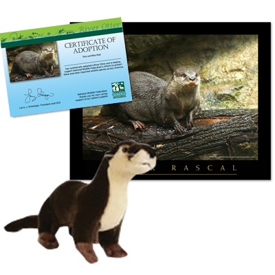Adopt a River Otter | Shop NWF